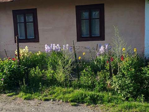 будинок за адресою Конопницької, 4