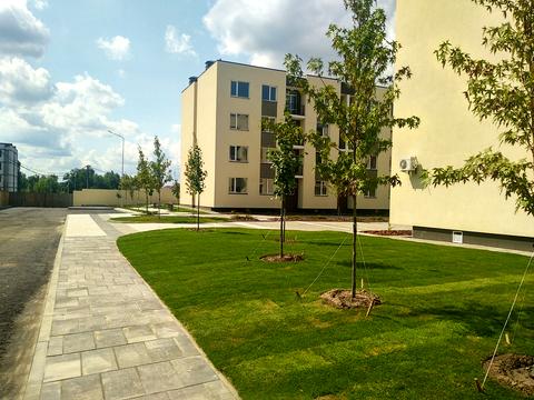 квартира за адресою Березова вул., 45