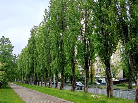квартира за адресою Русанівська набережна вул., 12
