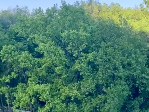 квартира за адресою Академіка Заболотного вул., 15-В