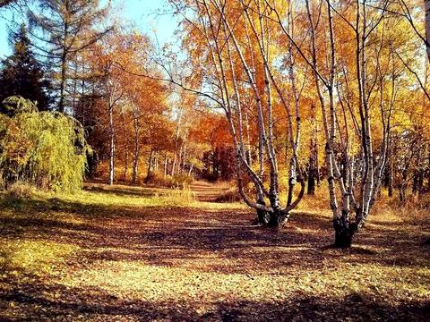 квартира по адресу Докучаева ул., 2