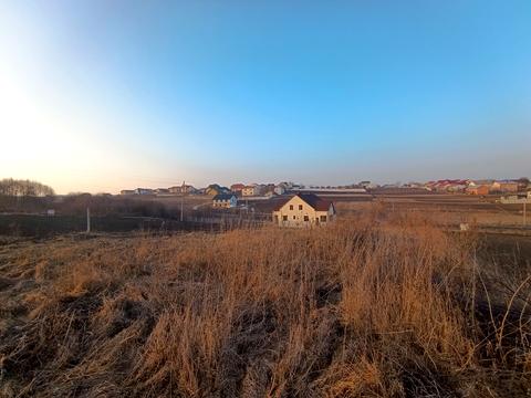 ділянка за адресою Липова