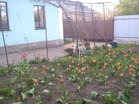 дом по адресу Владимира Антоновича ул., 8