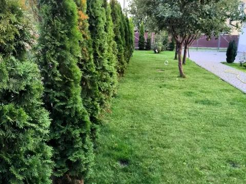 дом по адресу Центральна, 11