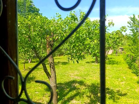 будинок за адресою вулиця Василя Седня