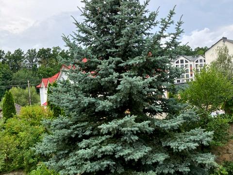 будинок за адресою Чагор