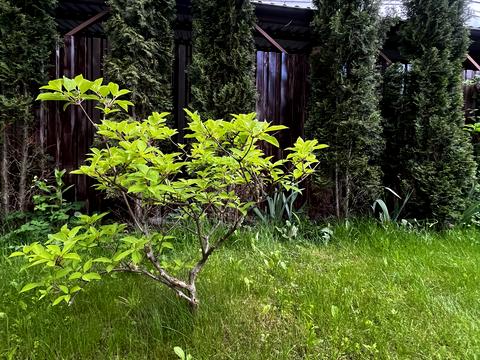 будинок за адресою Феодосія Печерського вул. (Піонерська)
