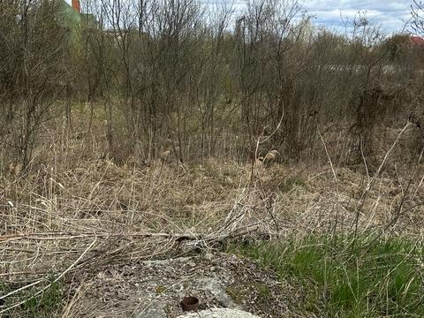 ділянка за адресою Жорновки вул.