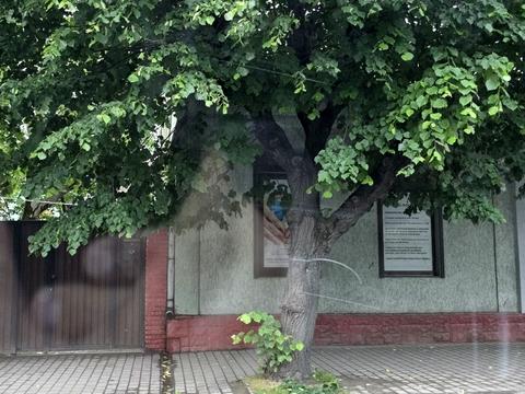 1865921820150643