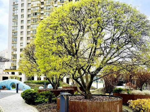 квартира за адресою Голосіївський просп. (40-річчя Жовтня), 62