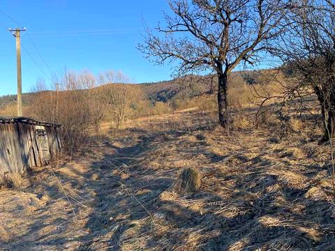 будинок за адресою Центральна