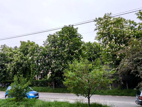 квартира за адресою Володимира Малика вул. (Ушакова), 5