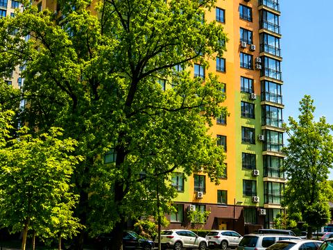 квартира за адресою Анатолія Петрицького вул., 17-А