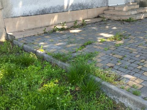 комерційна за адресою Дмитра Іванова вул., 63а