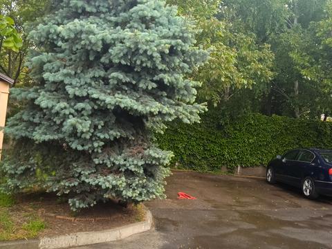 квартира за адресою Таїровська вул., 41