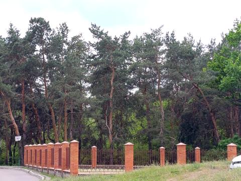 квартира по адресу Алматинская ул. (Алма-Атинская), 39-В