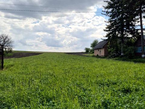 ділянка за адресою Застав"є, 38