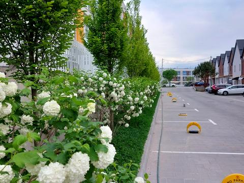 квартира за адресою Григорія Сковороди вул., 6