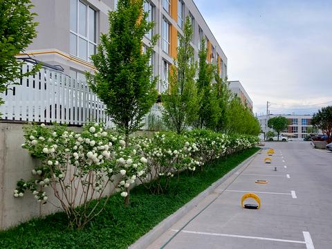 квартира за адресою Григорія Сковороди вул., 6