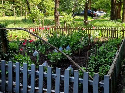 квартира за адресою Олексія Різниченка вул. (Співдружності), (Будинок 1)