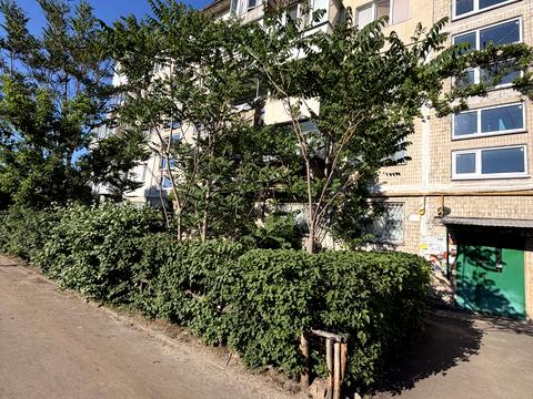 квартира за адресою Алішера Навої просп., 78