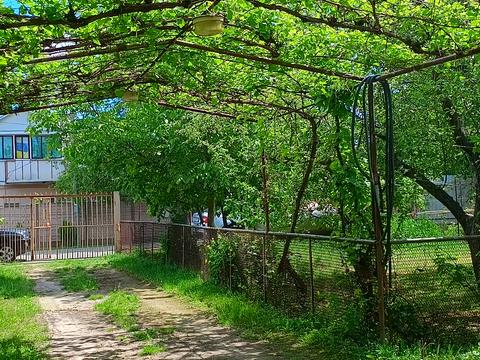 дом по адресу провулок Лісовий