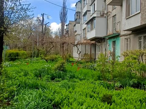 квартира за адресою Космонавтів вул., 1