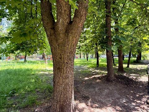 квартира за адресою Данила Щербаківського вул. (Щербакова), 72