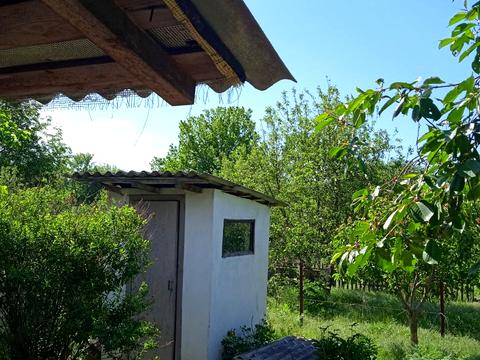 будинок за адресою берегова