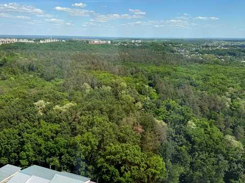 квартира по адресу Лісова ул., (Будинок 2)