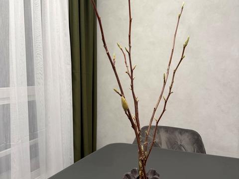 квартира по адресу Замарстыновская ул. (Калинина), 170-К