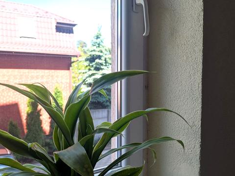 квартира за адресою Бурштинова вул., 4