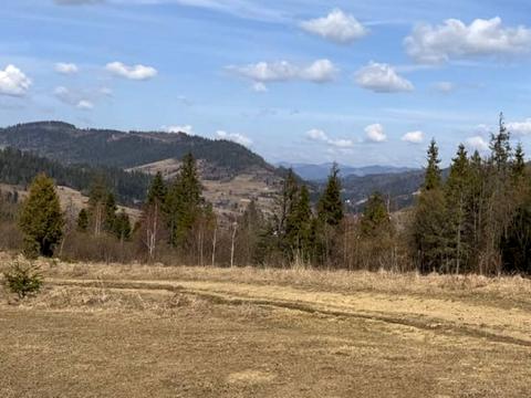 участок по адресу с. Межгорье, урочище Данькова