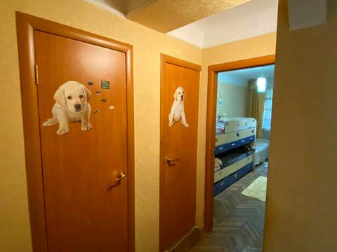 квартира за адресою Велика Морська вул., 13-А