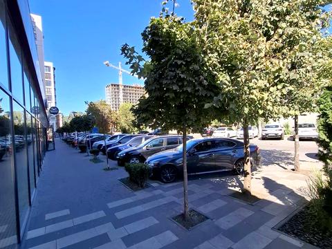 квартира за адресою Гетьмана Мазепи вул., (Будинок)