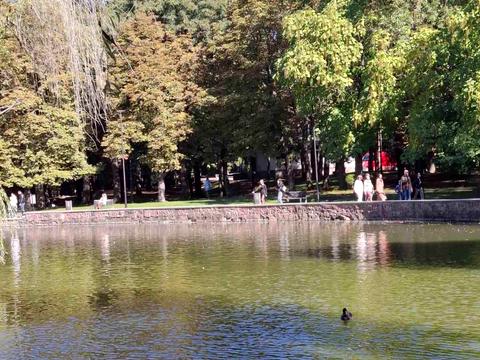 квартира за адресою Гетьмана Мазепи вул., (Будинок)