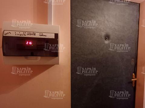 квартира по адресу Академика Павлова ул., 29
