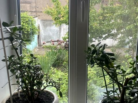дом по адресу Лиманная ул., 24