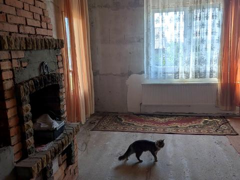 дом по адресу Грушевського, 1