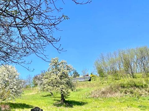 ділянка за адресою Ульяни Громової вул.