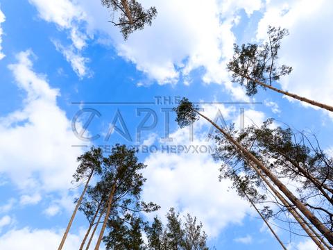 дом по адресу с. Ходосовка, Ягідна