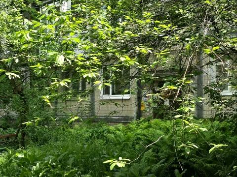 квартира по адресу Салютная ул., 25-А