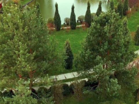 коммерческая по адресу Бежовка ул. (Дзержинського), 1а