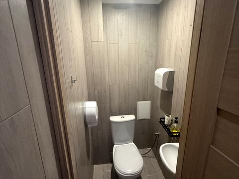 комерційна за адресою Шота Руставелі вул., 15-Б