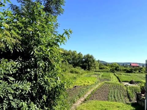 ділянка за адресою Лукашевича