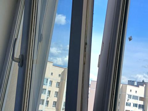квартира по адресу Ольги Кобилянської ул. (Горького), (Будинок 8)