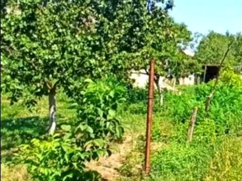 дом по адресу Виноградная, 1