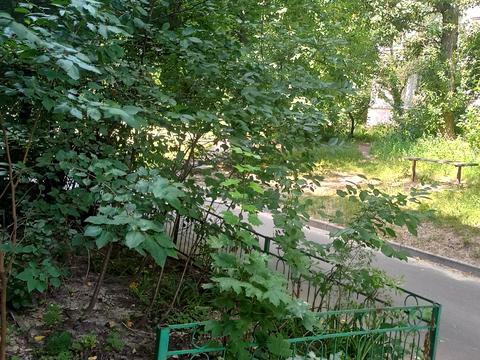 квартира за адресою Гарматна вул., 32
