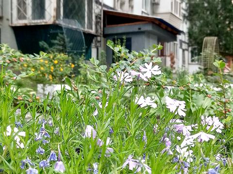 квартира за адресою Дніпро, житловий масив Тополя-2 вул., 38