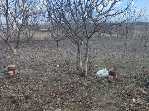 дом по адресу Дорошенка, 17